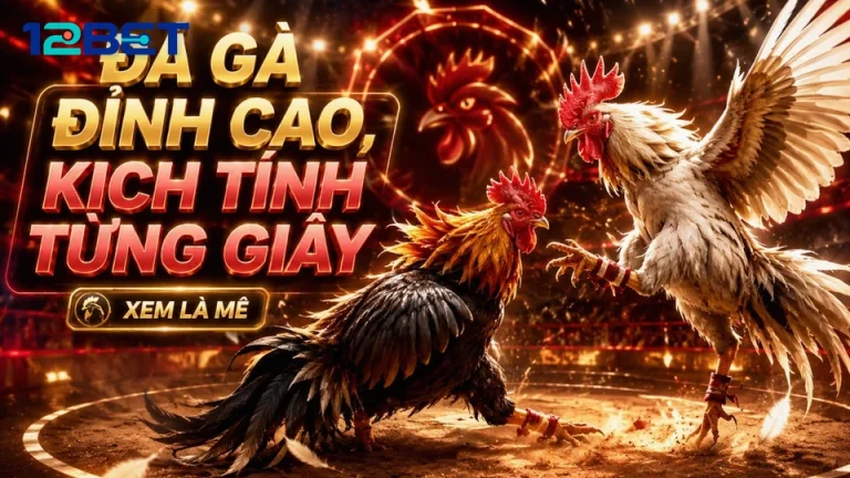 Khung viền đổi màu trên sảnh đá gà trực tuyến 12BET báo hiệu điều gì?