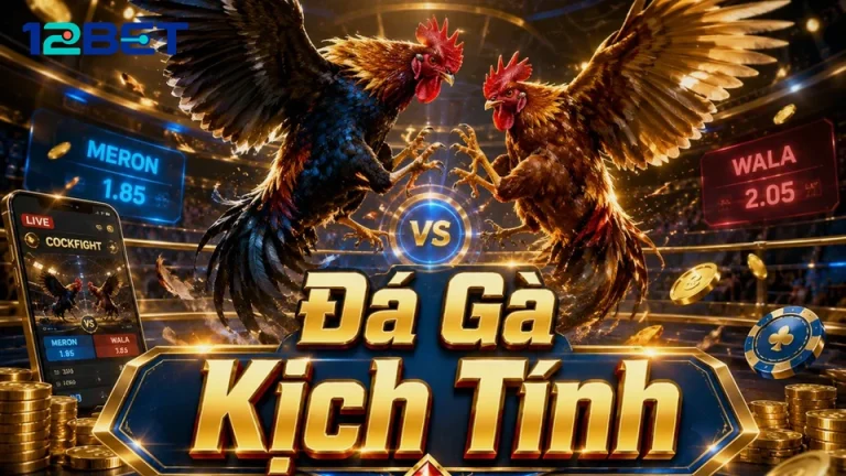 Đọc bảng cược hay theo luồng live: Hai lối nắm thông tin đá gà 12BET