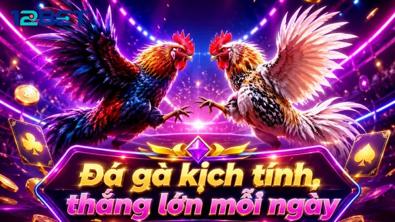 Cách Đọc Màn Hình Đá Gà Trực Tuyến Và Quản Lý Phiên Chơi